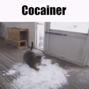 Cocainer