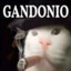 GandoniO
