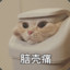 jiayifan136