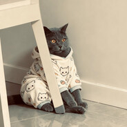 天梯不可只往上爬