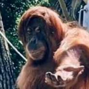 宇宙无敌世界第一炫酷帅气·坏蛋