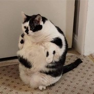 Chonky boii