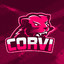 Corvi