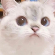 Eternal.墨染的雨呀