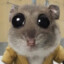 sub