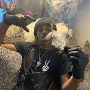 750 avatar