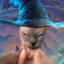 evil wizard cat