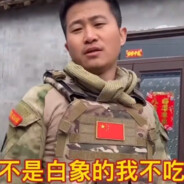 不是白象的对手我不打