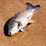 我大意了阿，沒有閃