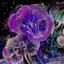 Conglomeration