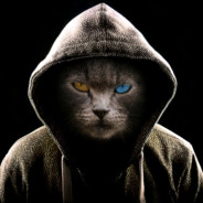 Kot Steam avatar