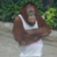 Monkey20