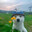 Nyarlat