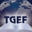 tgef