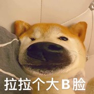 老卡普
