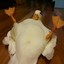 Goose