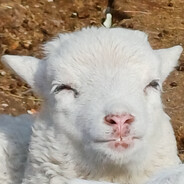 ПАТ "БАНК ВОСТОК"