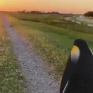 ????????????????????????????????