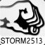 storm2513