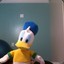 pato donald