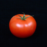 Tomate