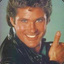 The Hoff