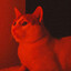Zein's avatar