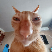 wιercιpιeтa