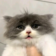PETRIK - steam id 76561198808902475