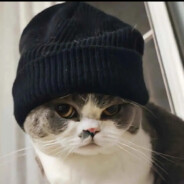 翻斗花园突破手胡图图