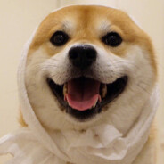 大大怪