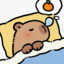 Hajiny