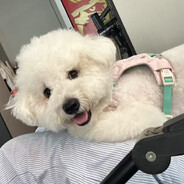 往哪里跑热烈的马