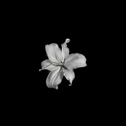 𝙅𝙖𝙣𝙩𝙝𝙖𝙧