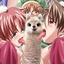 Obey The Llama King