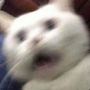 变成光守护嘉然小姐疯狂偷吃你的供品