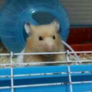 再见了，宝贝儿！