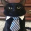 Unded | Nerd Cat