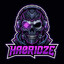ha0r1dze