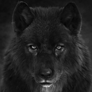 ت ✿Soufay✿ت [.Mp3]