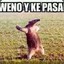 hOKAAA