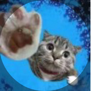 知道你急但是你先别急