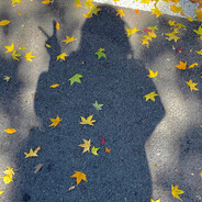 𝓴𝓸𝓶𝓸𝓻𝓮𝓫𝓲