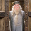 Albus Doubledoors