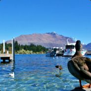 Stålmannen"Everyday Hero" VeMMA