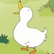 HOTAK老实人浩德（装的）