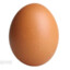 egg_:}