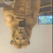 ★ ɹǝƃƃɐɹɟ doʇ ★