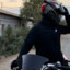 borzzz019