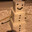 bolt's Avatar